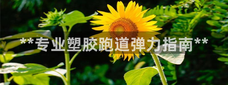 尊龙凯时赞助：**专业塑胶跑道弹力指南**