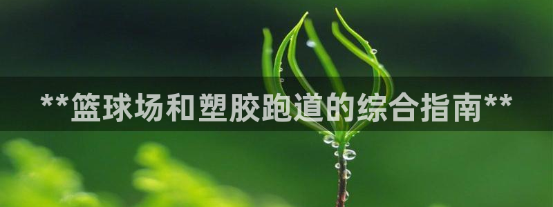 尊龙APP客户端平台：**篮球场和塑胶跑道的综合指南**