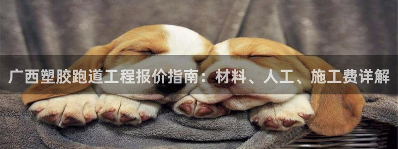 尊龙官网在哪里：广西塑胶跑道工程报价指南：材料、人工、施工费详解