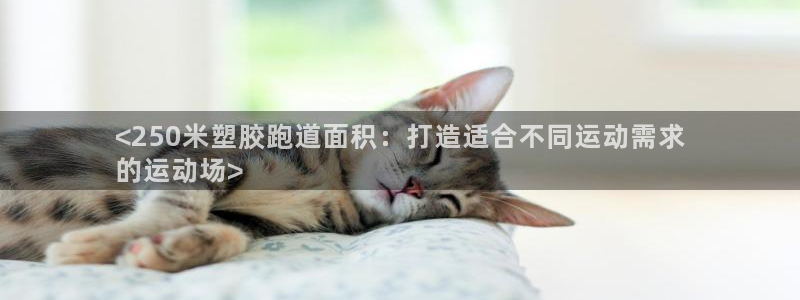 尊龙,人生就是博!登录国际：<250米塑胶跑道面积：
