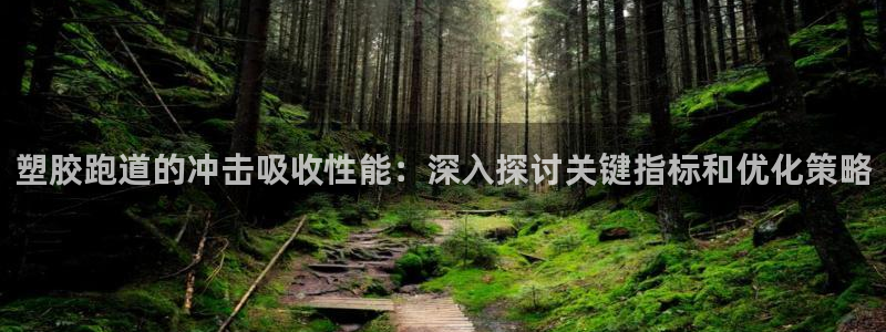 尊龙d88官网QU来就送38：塑胶跑道的冲击吸收性能：深入探讨关键指标和优化策略