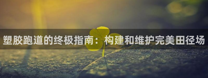 凯时K8国际：塑胶跑道的终极指南：构建和维护完美田径场