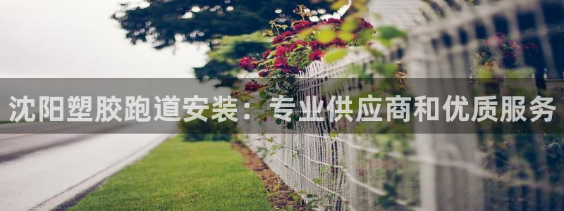 尊龙凯时发展历程：沈阳塑胶跑道安装：专业供应商和优质服务