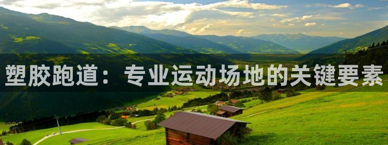 尊龙新版app首页：塑胶跑道：专业运动场地的关键要素