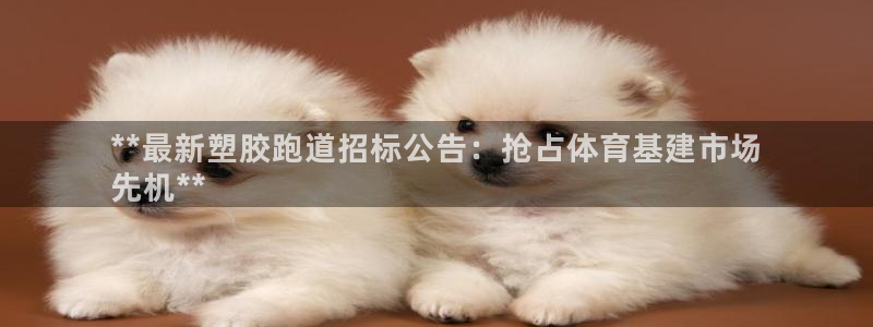 尊龙ag旗舰厅下载：**最新塑胶跑道招标公告：抢占体育基建市场
先机**