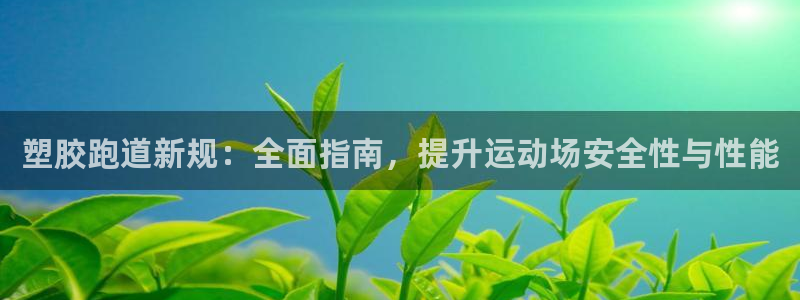 尊龙凯时请求参数不符合：塑胶跑道新规：全面指南，提升运动场安全性与性能