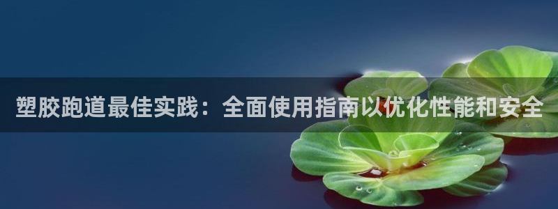 尊龙客服：塑胶跑道最佳实践：全面使用指南以优化性能和