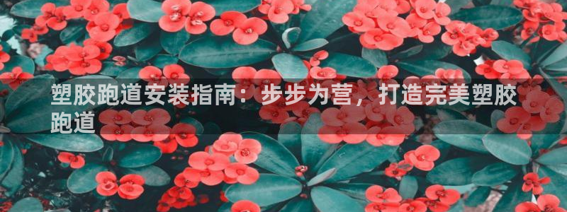 尊龙凯时app官方网站：塑胶跑道安装指南：步步为营，打造完美塑胶
跑道