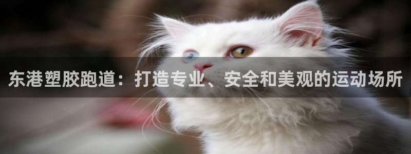 有人在凯时赢过钱吗：东港塑胶跑道：打造专业、安全和美观的运动场所