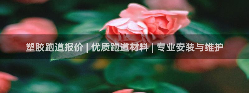 尊龙服饰有限公司地址：塑胶跑道报价 | 优质跑道材料 | 专业安装与维护