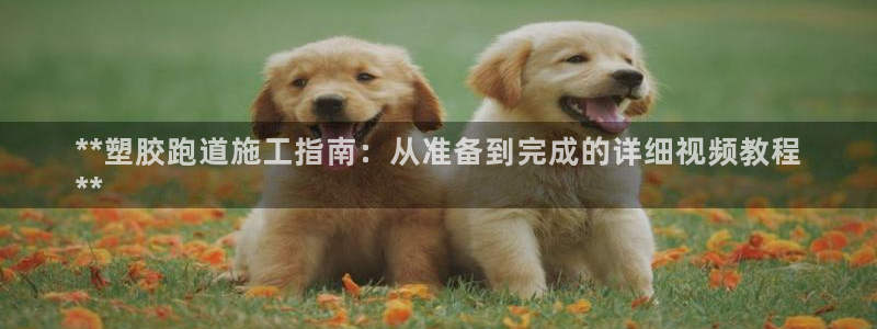 尊龙凯时人生就是搏 品牌专区：**塑胶跑道施工指南：从准备到完成的详细视频教程
**