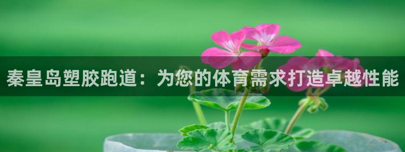 尊龙一人生就是博电子游戏：秦皇岛塑胶跑道：为您的体育需求打造卓越性能