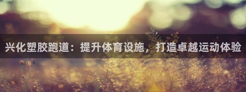 Z6尊龙凯时登录：兴化塑胶跑道：提升体育设施，打造卓越运动体验