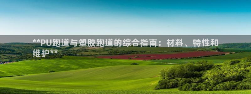 尊龙人生就是傅官网：**PU跑道与塑胶跑道的综合指南：材料、特性和
维护**