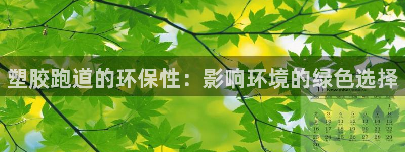 凯时ag旗舰厅登录：塑胶跑道的环保性：影响环境的绿色选择