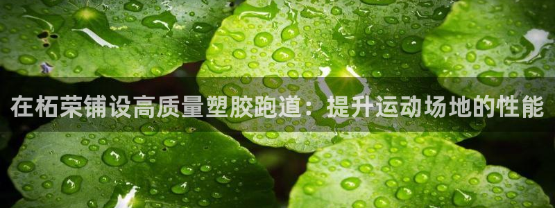 尊龙人生手机版都去ag发财网：在柘荣铺设高质量塑胶跑道：提升运动场地的性能