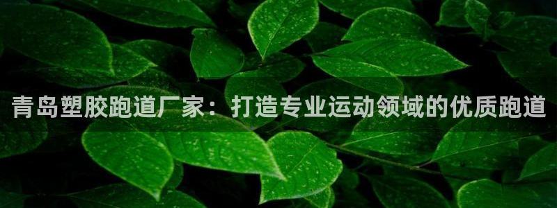 尊龙人生就是博：青岛塑胶跑道厂家：打造专业运动领域的优质跑道