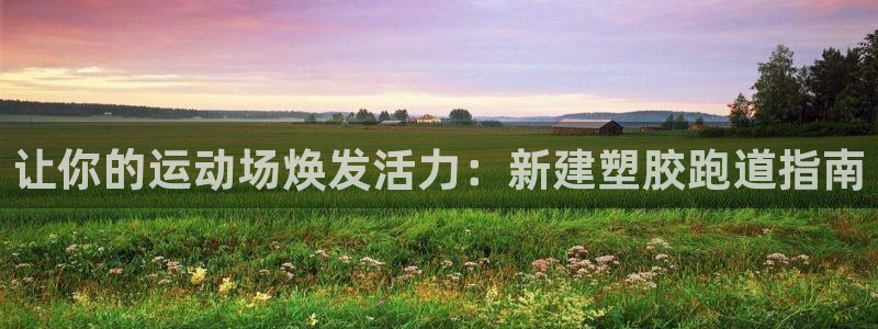 尊龙AG发财网：让你的运动场焕发活力：新建塑胶跑道指南