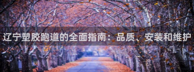 尊龙凯时网站首页手机登录：辽宁塑胶跑道的全面指南：品质、安装和维护