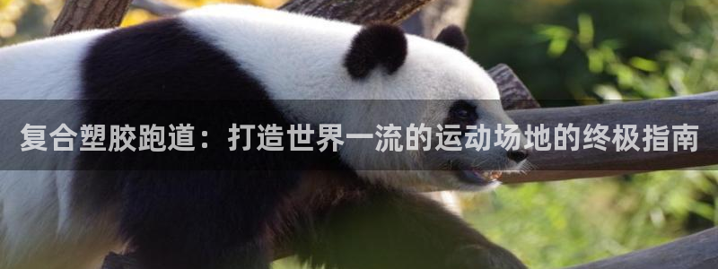 尊龙体育直接访问agbaofu.wang|ag暴富网：复合塑胶跑道：打造世界一流的运动场地的终极指南