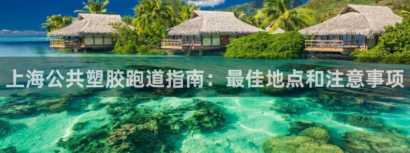 尊龙人生就是博i可靠吗：上海公共塑胶跑道指南：最佳地点和注意事项