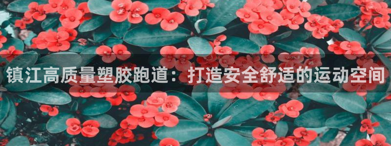 尊龙公司：镇江高质量塑胶跑道：打造安全舒适的运动空间
