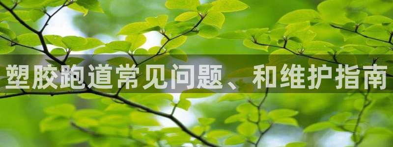 凯时首页地址：塑胶跑道常见问题、和维护指南