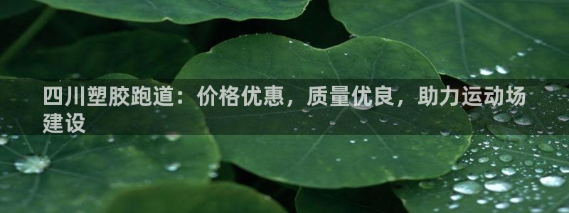 z6尊龙平台是哪里的：四川塑胶跑道：价格优惠，质量优良，助力运动场
建设