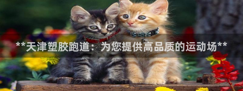 尊龙网站手机下载：**天津塑胶跑道：为您提供高品质的运动场**