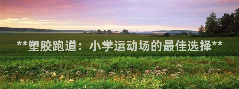 尊龙公司：**塑胶跑道：小学运动场的最佳选择**