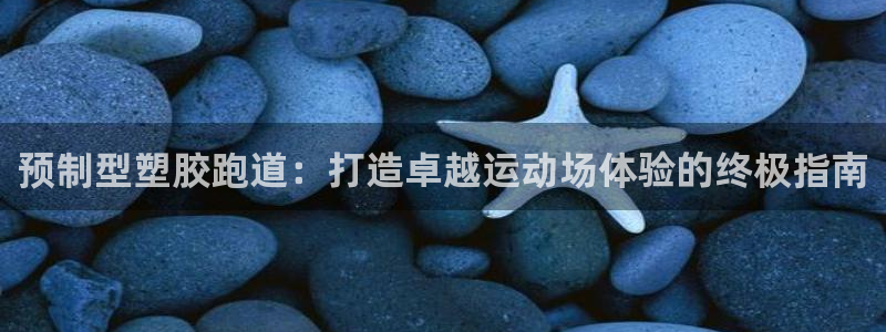 尊龙手机版：预制型塑胶跑道：打造卓越运动场体验的终极指南