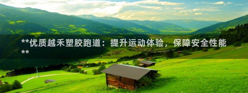 尊龙z6网址：**优质越禾塑胶跑道：提升运动体验，保