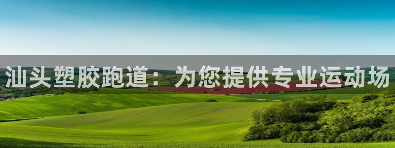 凯时国际app登录：汕头塑胶跑道：为您提供专业运动场