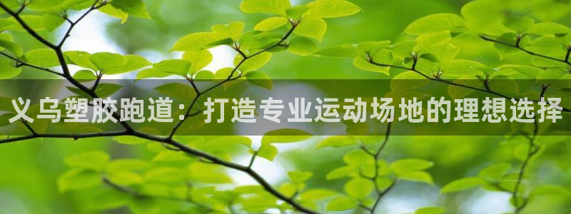 尊龙凯时干什么的：义乌塑胶跑道：打造专业运动场地的理想选择