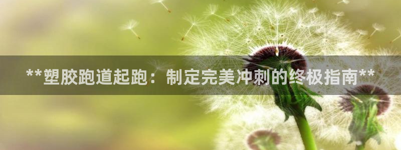 尊龙人生就是博网站下载：**塑胶跑道起跑：制定完美冲刺的终极指南**