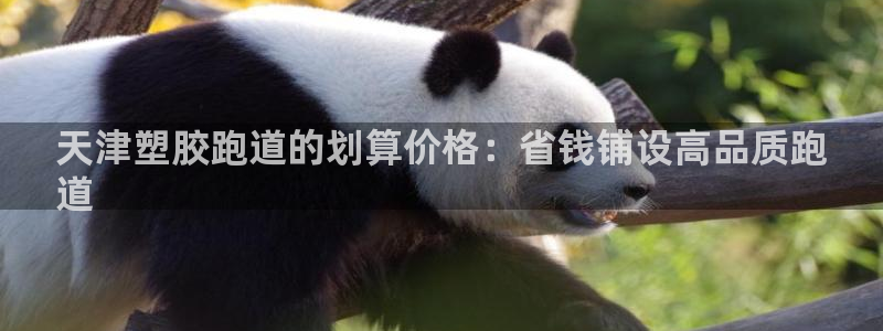 凯时首页地址：天津塑胶跑道的划算价格：省钱铺设高品质