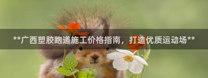 ag旗舰平台尊龙代言：**广西塑胶跑道施工价格指南，