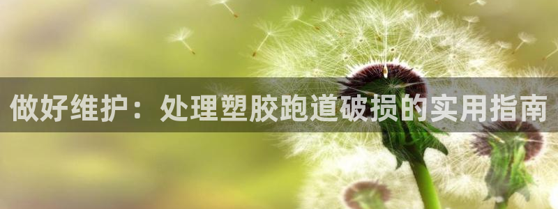 下载尊龙app：做好维护：处理塑胶跑道破损的实用指南