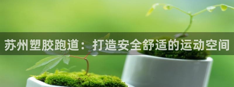 尊龙 贴吧：苏州塑胶跑道：打造安全舒适的运动空间
