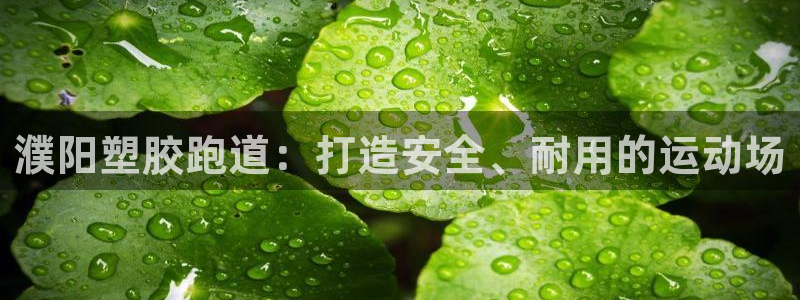 尊龙手机官方客户端下载安装：濮阳塑胶跑道：打造安全、