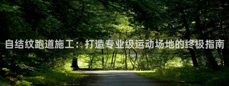 尊龙科技：自结纹跑道施工：打造专业级运动场地的终极指南