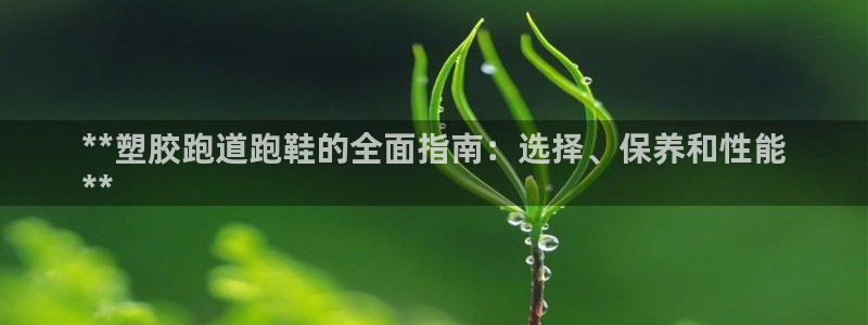 尊龙d88官网登录苹果版下载：**塑胶跑道跑鞋的全面指南：选择、保养和性能
**