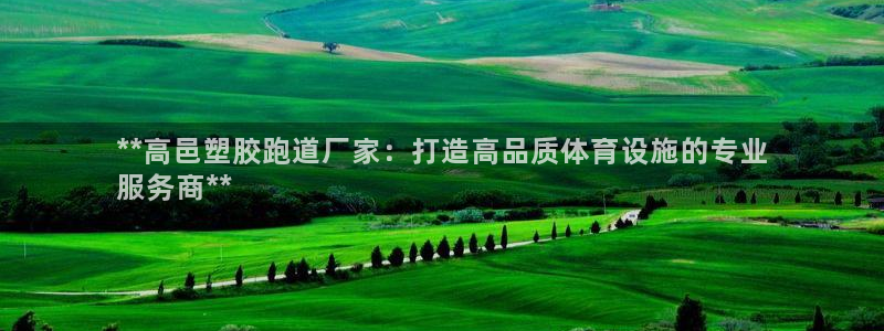 尊龙人生就是博电脑版：**高邑塑胶跑道厂家：打造高品质体育设施的专业
服务商**