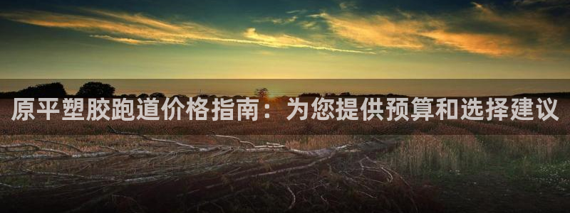 尊龙z6集团：原平塑胶跑道价格指南：为您提供预算和选择建议