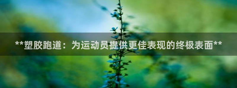 尊龙一人生就是博电子游戏：**塑胶跑道：为运动员提供更佳表现的终极表面**