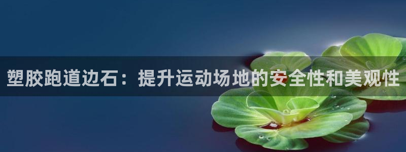 尊龙凯时有封银行卡的吗：塑胶跑道边石：提升运动场地的安全性和美观性