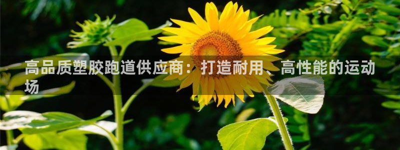 凯时官网手机版首页：高品质塑胶跑道供应商：打造耐用、