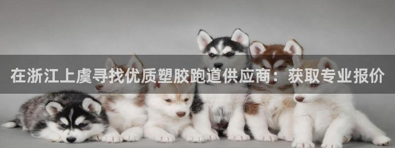 尊龙人生就是博官网登录手机：在浙江上虞寻找优质塑胶跑道供应商：获取专业报价