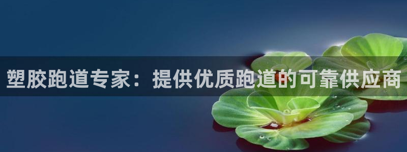 尊龙,人生就是搏：塑胶跑道专家：提供优质跑道的可靠供