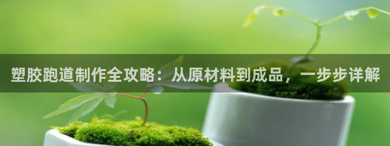 尊龙软件下载：塑胶跑道制作全攻略：从原材料到成品，一步步详解